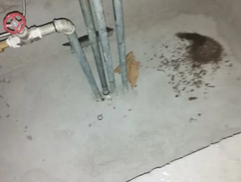 赤城卫生间测漏水价格明细